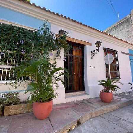 Lotus Central Hotel Santa Marta Dış mekan fotoğraf