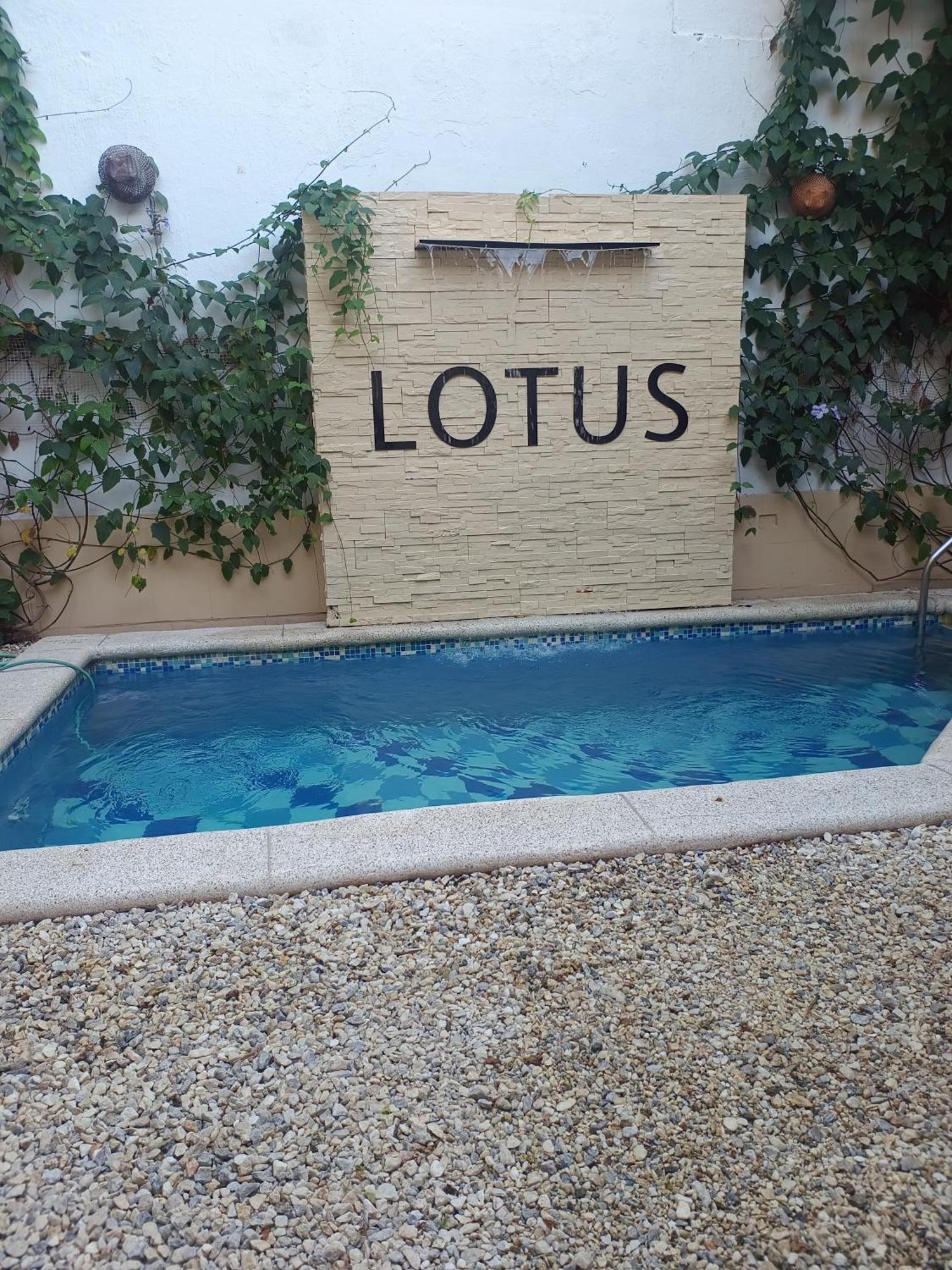 Lotus Central Hotel Santa Marta Dış mekan fotoğraf