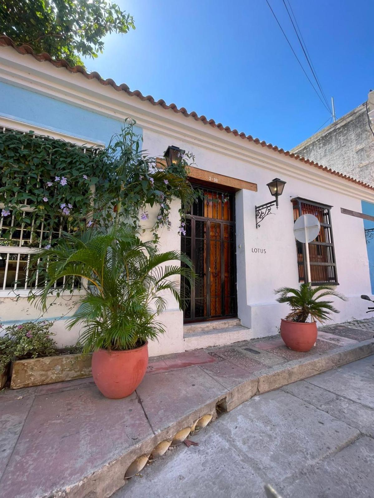 Lotus Central Hotel Santa Marta Dış mekan fotoğraf